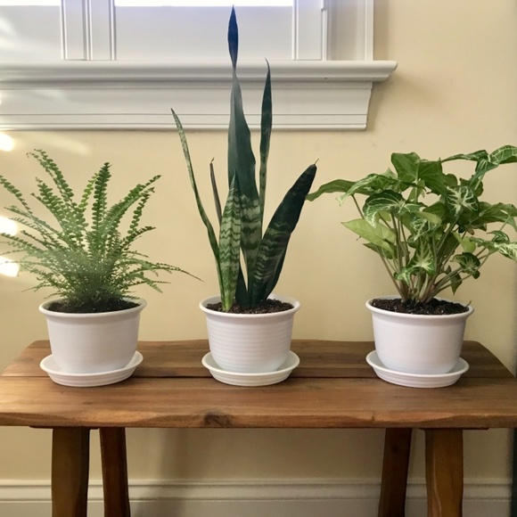 White 6” Plastic Round Drainage Plant Pot Saucer Tray - SET OF 2 - Picture 7 of 9